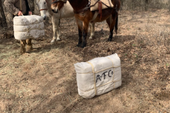 AMM Western 2023 - Bill Emerick mule packing